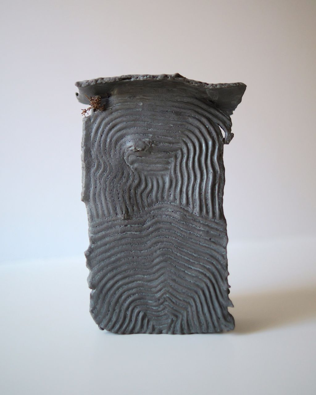 Tory Mata - Portal I ceramic and plant fibers  10 x 5 x 2 in.