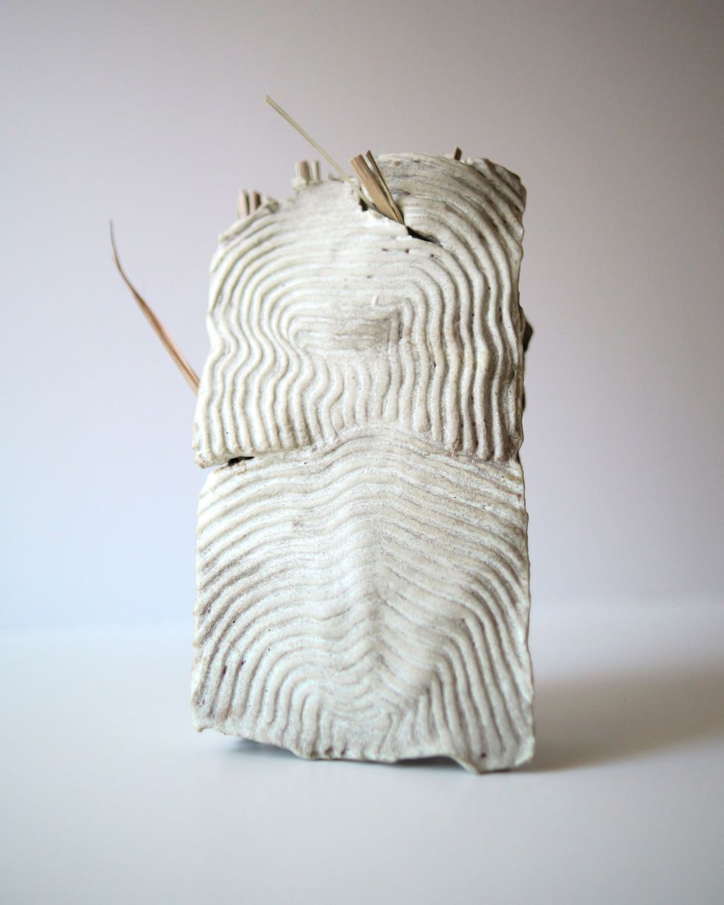 Tory Mata - Portal II  ceramic and plant fibers  10 x 5 x 2 in.