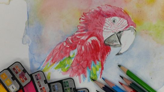 Weekly Creations Challenge: Animals (Arts and Music)